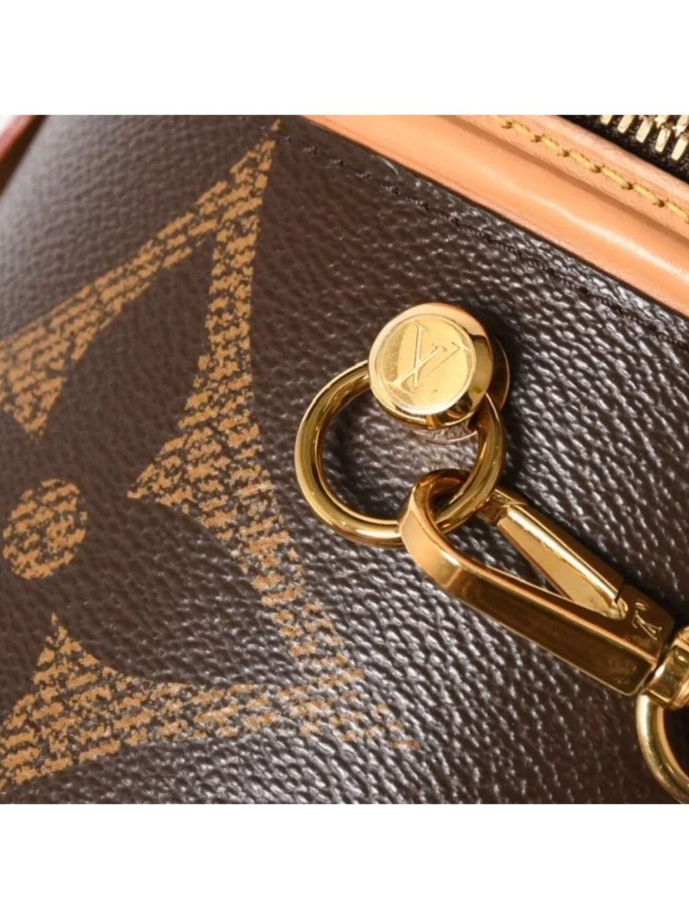 Louis Vuitton Cannes Vanity Monogram Giant Brown Reverse Shoulder Bag